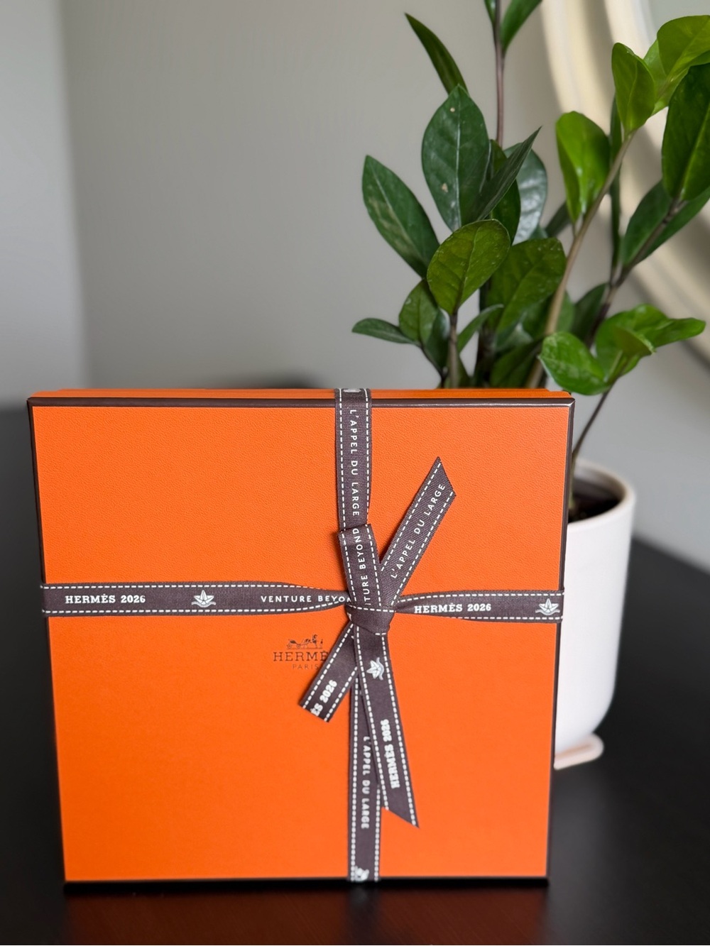 Hermes Belt Box With Ribbon